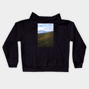 Shenandoah National Park in Fall Kids Hoodie